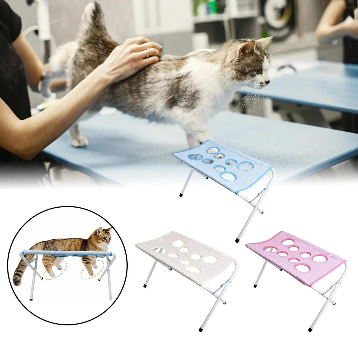 Pet Holder